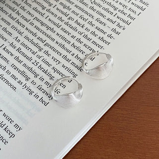 Silver Hoop Earrings 2