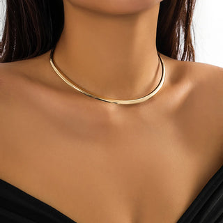 Gold Silver Choker Necklace 2