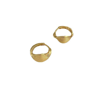Silver Hoop Earrings 2