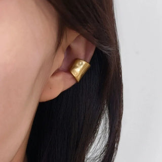 Gold Silver Earrings