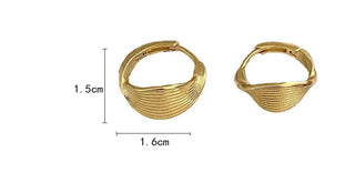 Silver Hoop Earrings 2