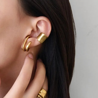 Gold Silver Earrings