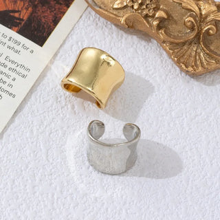 Gold Silver Earrings